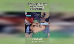 惩罚视频,揭秘惩罚视频背后的真相与警示